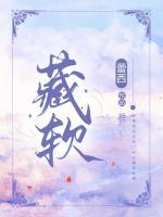 藏軟