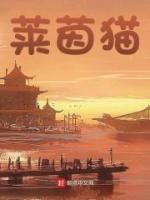 萊茵貓