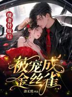 傻妻替嫁后，被寵成金絲雀