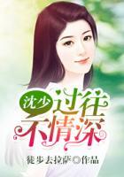 沈少，過往不情深