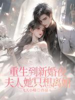 重生到新婚夜，夫人她只想離婚