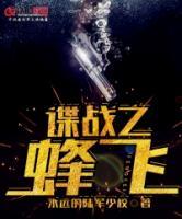 諜戰(zhàn)之蜂飛