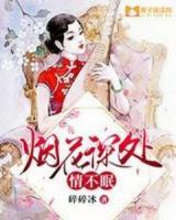 煙花深處情不眠
