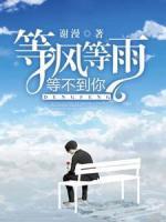 等風(fēng)等雨，等不到你