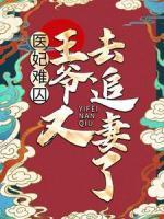 醫(yī)妃難囚：王爺又去追妻了