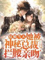 結(jié)婚當(dāng)天，她被神秘總裁攔腰親吻