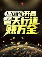 人在緬甸，開(kāi)局替天行道賺萬(wàn)金