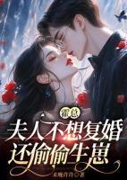 霍總，夫人不想復婚還偷偷生崽