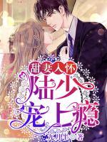 甜妻入懷：陸少，寵上癮！