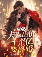 戰(zhàn)少，夫人出價(jià)十個(gè)億要離婚