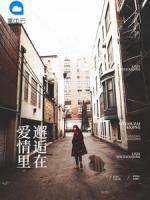 邂逅在愛情里