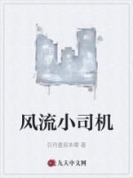 風(fēng)流小司機(jī)