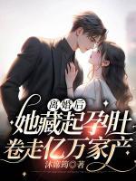 離婚后，她藏起孕肚卷走億萬家產(chǎn)
