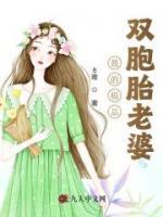我的極品雙胞胎老婆