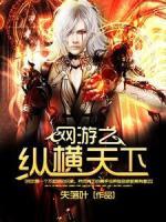 網(wǎng)游之縱橫天下