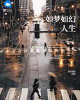 如夢如幻人生