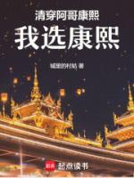 清穿：阿哥，康熙，我選康熙！