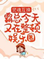 靈魂互換：霸總今天又在整頓娛樂圈