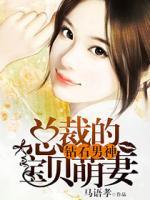 鉆石男神：總裁的寶貝萌妻
