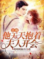 總裁他天天抱著夫人開會(huì)