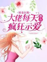 嬌妻在逃：大佬每天都在瘋狂示愛