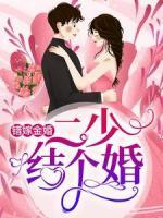 錯(cuò)嫁金婚：二少，結(jié)個(gè)婚？