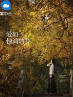 愛如驚鴻轉(zhuǎn)身