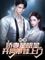 奶爸：嬌妻是明星，開局帶娃上門