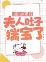 提出離婚后，夫人肚子揣寶了