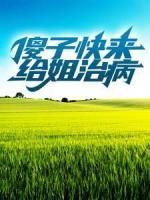 傻子快來給姐治病