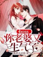 boss你老婆又生氣了