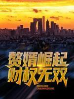 贅婿崛起，財(cái)權(quán)無雙