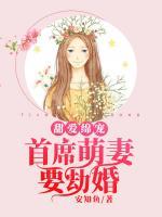 甜愛(ài)綿寵：首席萌妻要劫婚