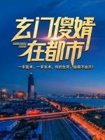 玄門傻婿在都市