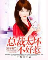 夜半敲門(mén)：總裁太壞不好惹