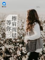等你擦肩而過