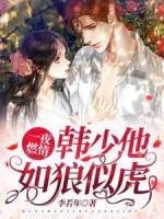 一夜燃情：韓少他如狼似虎