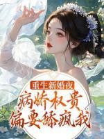 重生新婚夜，病嬌權(quán)貴偏要舔瘋我
