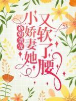 新婚誘寵：小嬌妻她又軟了腰