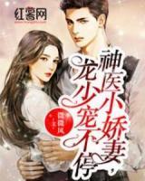 神醫(yī)小嬌妻，龍少寵不停