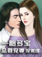一胎多寶：總裁寵妻沒道理