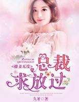 撩妻無度：總裁，求放過