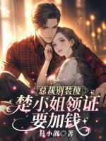 總裁別裝傻，楚小姐領(lǐng)證要加錢