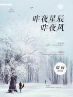 昨夜星辰昨夜風(fēng)