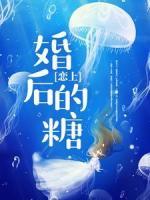 戀上婚后的糖