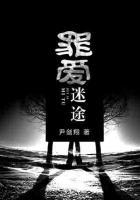 罪愛迷途