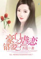 豪門(mén)虐戀之錯(cuò)愛(ài)
