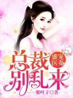 盛寵醫(yī)妻：總裁別亂來