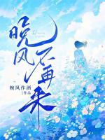 晚風不再來