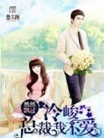 冷峻總裁我不愛